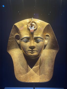 ACN ラムセス大王展 ファラオたちの黄金に投稿された画像（2025/8/21）