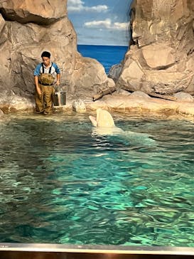 名古屋港水族館に投稿された画像（2025/8/21）