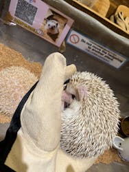 HARRY　原宿駅前店に投稿された画像（2025/8/21）