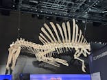 福井県立恐竜博物館に投稿された画像（2025/8/21）