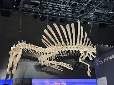 福井県立恐竜博物館に投稿された画像（2025/8/21）