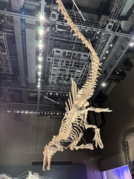 福井県立恐竜博物館に投稿された画像（2025/8/21）