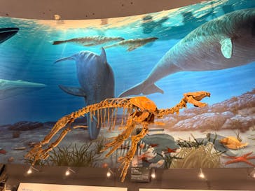福井県立恐竜博物館に投稿された画像（2025/8/21）