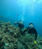 武藤潜水に投稿された画像（2025/8/21）