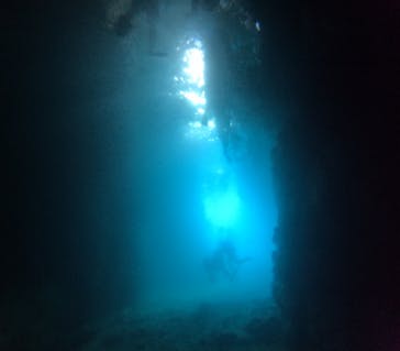 武藤潜水に投稿された画像（2025/8/21）