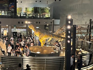 福井県立恐竜博物館に投稿された画像（2025/8/21）