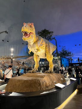 福井県立恐竜博物館に投稿された画像（2025/8/21）