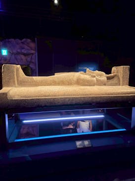 ACN ラムセス大王展 ファラオたちの黄金に投稿された画像（2025/8/21）