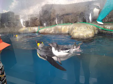仙台うみの杜水族館に投稿された画像（2025/8/21）