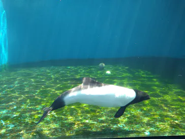 仙台うみの杜水族館に投稿された画像（2025/8/21）