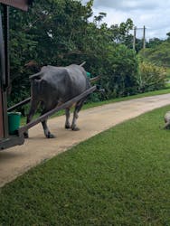 ビオスの丘に投稿された画像（2025/8/21）