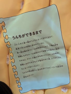 君も博士になれる展 in東京ミッドタウン八重洲に投稿された画像（2025/8/21）