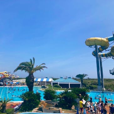 蓮沼ウォーターガーデンに投稿された画像（2025/8/21）