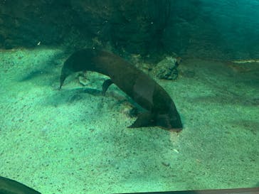 名古屋港水族館に投稿された画像（2025/8/21）