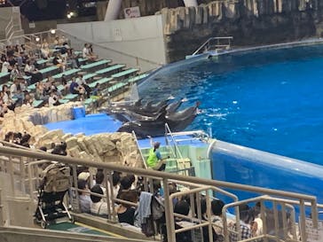名古屋港水族館に投稿された画像（2025/8/21）