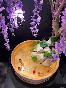 錦鯉・金魚アクアリウム in ときメッセに投稿された画像（2025/8/21）