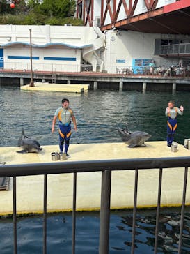伊豆・三津シーパラダイスに投稿された画像（2025/8/21）