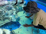 越前松島水族館に投稿された画像（2025/8/21）