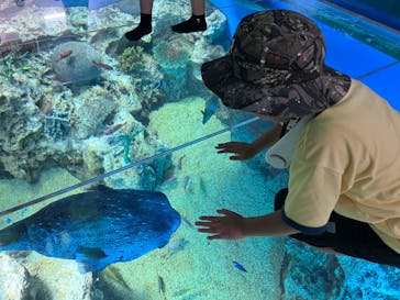 越前松島水族館に投稿された画像（2025/8/21）