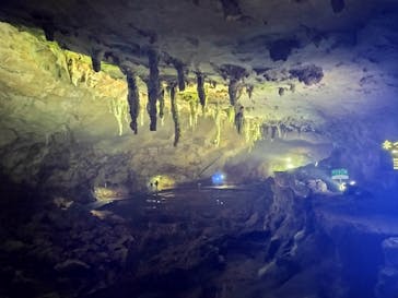 秋芳洞に投稿された画像（2025/8/21）