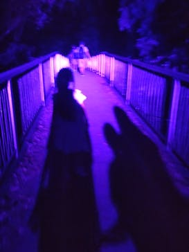 ニジゲンノモリに投稿された画像（2025/8/21）