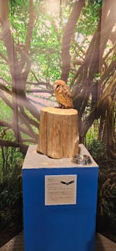 リトルモンスター展～「うゎっ」と「ぅわぁ～」のいきものたち～ @新潟県立自然科学館に投稿された画像（2025/8/21）