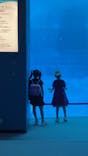 名古屋港水族館に投稿された画像（2025/8/22）