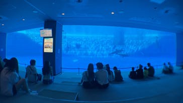 名古屋港水族館に投稿された画像（2025/8/21）