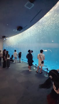 名古屋港水族館に投稿された画像（2025/8/21）