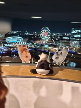 名古屋港水族館に投稿された画像（2025/8/21）