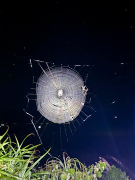 Nami宮古島に投稿された画像（2025/8/21）