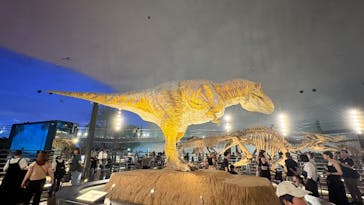 福井県立恐竜博物館に投稿された画像（2025/8/21）