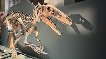 福井県立恐竜博物館に投稿された画像（2025/8/21）