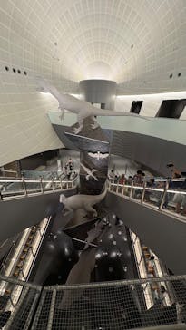 福井県立恐竜博物館に投稿された画像（2025/8/21）