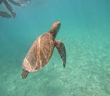 オースリーシュノーケル宮古島に投稿された画像（2025/8/22）