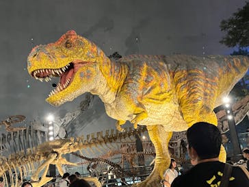 福井県立恐竜博物館に投稿された画像（2025/8/21）