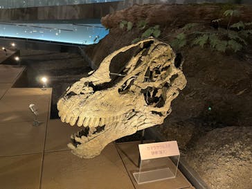 福井県立恐竜博物館に投稿された画像（2025/8/21）