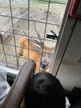 那須サファリパークに投稿された画像（2025/8/22）