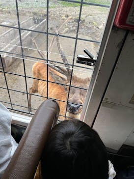 那須サファリパークに投稿された画像（2025/8/22）