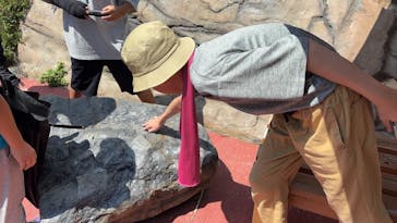 福井県立恐竜博物館に投稿された画像（2025/8/22）