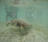 元気玉に投稿された画像（2025/8/22）