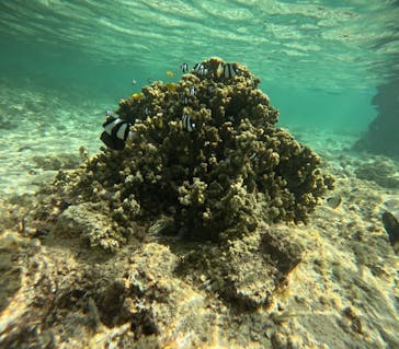 元気玉に投稿された画像（2025/8/22）