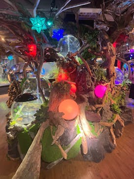 NARA IKIMONO MUSEUMに投稿された画像（2025/8/22）