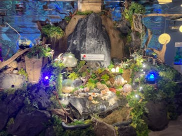 NARA IKIMONO MUSEUMに投稿された画像（2025/8/22）