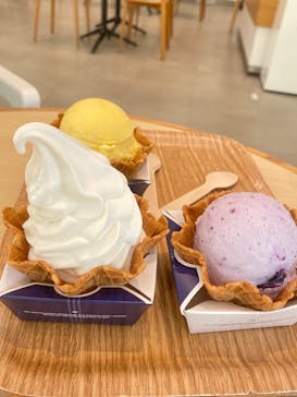 彫刻の森美術館に投稿された画像（2025/8/22）