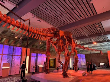 巨大恐竜展2025に投稿された画像（2025/8/22）