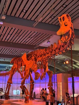 巨大恐竜展2025に投稿された画像（2025/8/22）