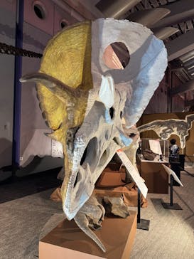 巨大恐竜展2025に投稿された画像（2025/8/22）