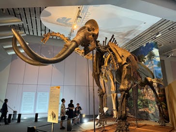 巨大恐竜展2025に投稿された画像（2025/8/22）