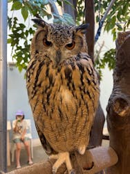 Moff アニマル カフェ イーアス 高尾店に投稿された画像（2025/8/22）